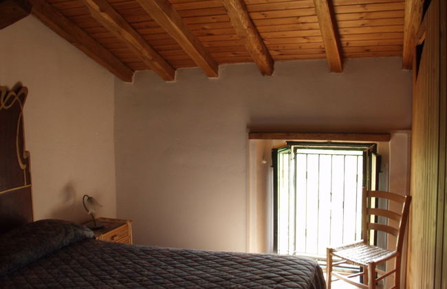 Codavolpe Giardino di Tea - Foto 9