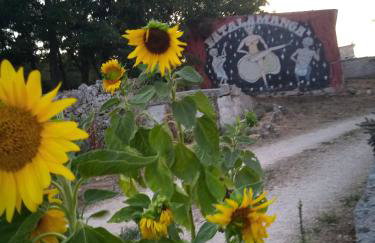 Agriturismo Teatro del grano - Foto 11