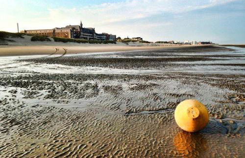 Face mer pieds dans l'eau - Foto 16