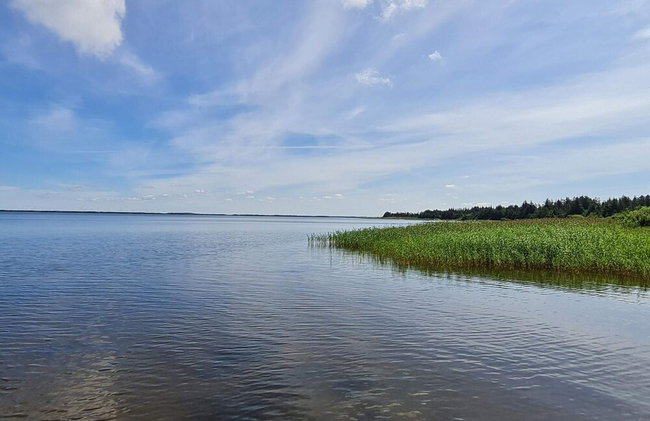 6 Person Holiday Home in Ulfborg - Foto 32