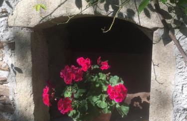 Komfortable Wohnungen und Studio in Sankt Englmar - Foto 19