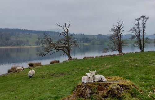 3 Bed in Hawkshead oc-llh24 - Foto 36