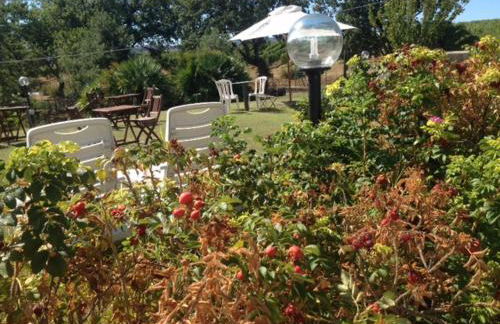 Agriturismo La Carletta - Foto 20