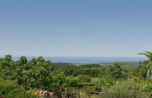 Apartments Borgo 8 - Foto 28