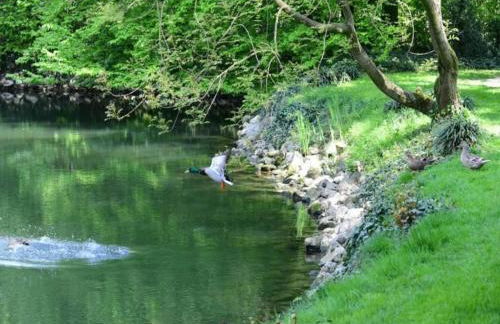 Apartment near Cremona in Historic Convent - Foto 23