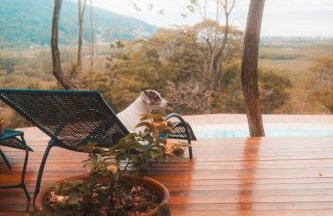 Chalé Espetacular I Barra de Guaratiba - Foto 11