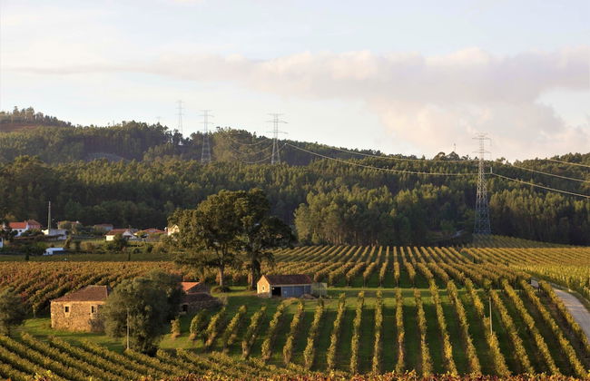 TERRA ROSA COUNTRY HOUSE & VINEYARDS - Foto 75