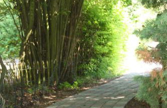 Reihenhaus - Seeschwalbe - Foto 10