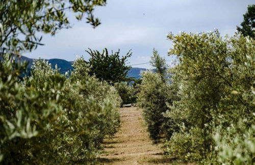 Quinta das Fontes - Alojamento Rústico Local e Turismo Rural - Foto 15