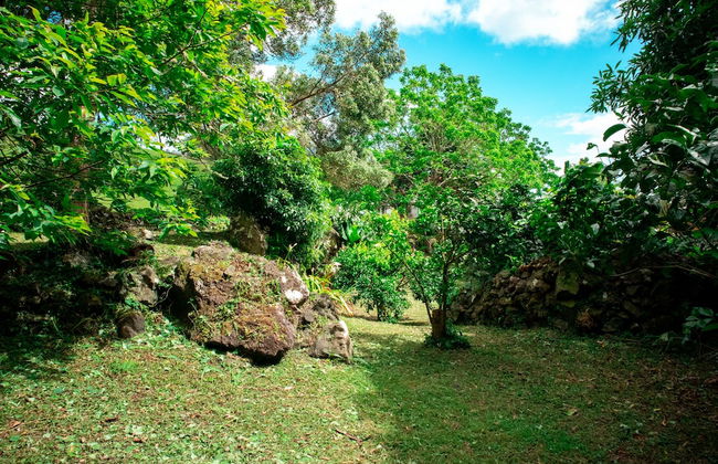 Franco da Serra Country House - Photo 66