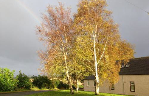 Eastwood Cottage - Photo 9