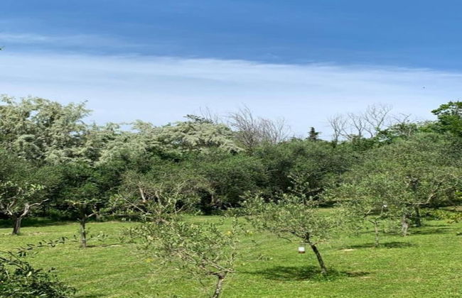 Inviting Holiday Home in San Costanzo With Swimming Pool - Foto 66