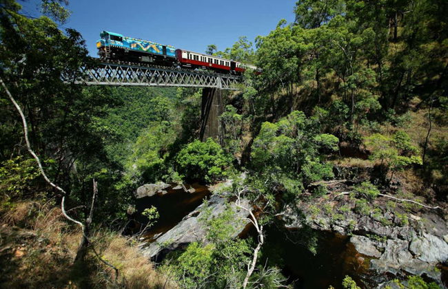 Day Trip to Kuranda: Scenic Rail and Skyrail - Photo 6