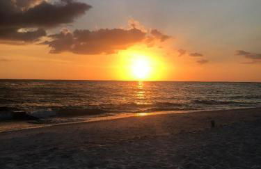 Madeira Bonita - Photo 1