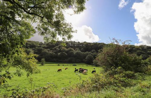 Sycamore Vestry - Foto 13