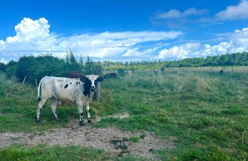 Tranquil Modern Farm Cabin - Foto 36