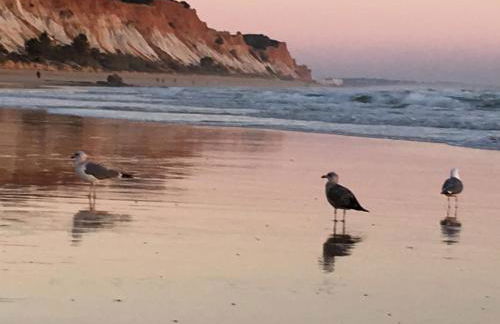 Luxurious T2 apartment, Olhos Dagua - Foto 29