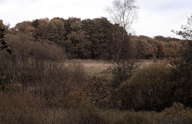 4 Star Holiday Home in Hovborg - Foto 7