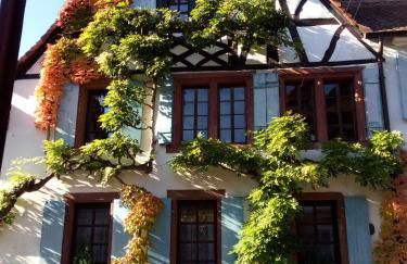 Im Alten Kaufhaus - Foto 1