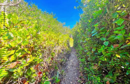 Tide Pool Cabin, a Soquinomere Private Hotel on the Dunes, Downtown Ocean Shores - Foto 44