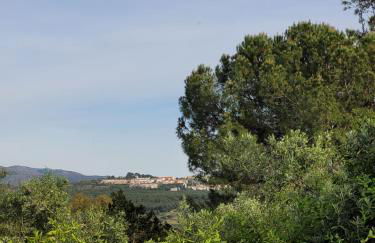 Casa Abanto - Photo 26