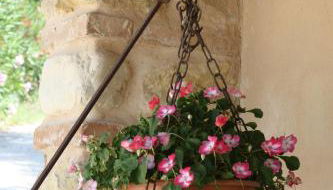 Agriturismo i Cigni - Foto 5