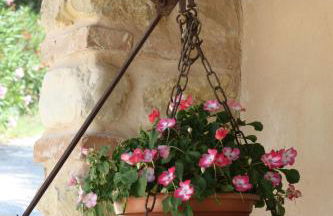 Agriturismo i Cigni - Foto 5