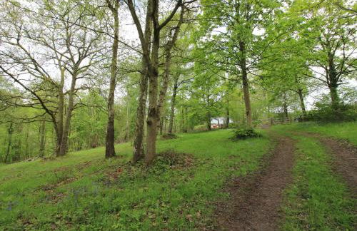 The Larches - Photo 30