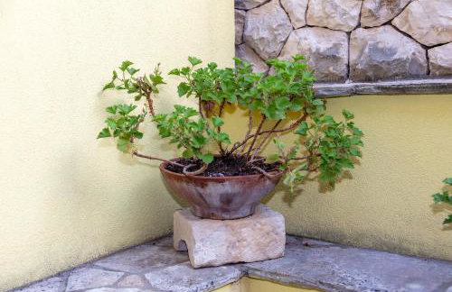 Apartments Dijana - Foto 36