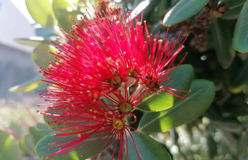 Chalé Seixal - Sea View - Foto 34