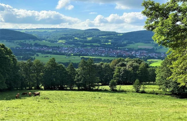 Charmantes Ferienhaus mit Naturgarten - Foto 38