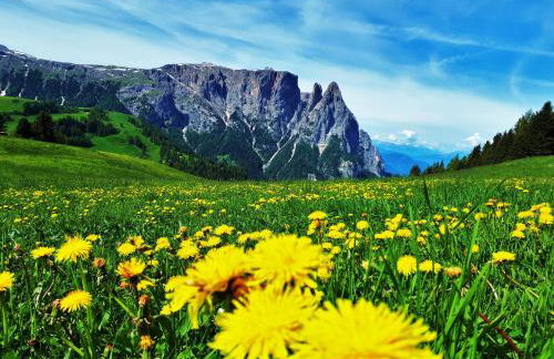 Alpine Chalet CESA VEDLA -nature & silence - Foto 40