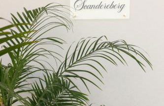 Dimora Scandereberg Felline - Foto 6