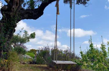 AMPELIA KYTHIRA - Foto 72