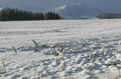 Mike's 3-bedroom Countryside Cottage - Foto 48