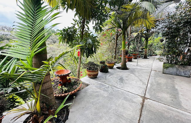 ecohotel zona 7 - Photo 44