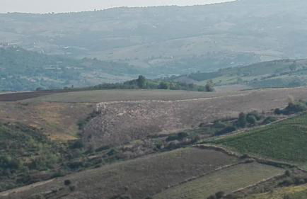 Agriturismo San Michele - Foto 9