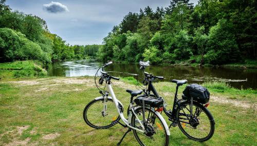 Spalskie Pokoje Gościnne - Foto 5