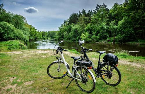 Spalskie Pokoje Gościnne - Foto 5
