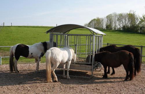 Ostseebauernhof Schönhagen - Foto 45