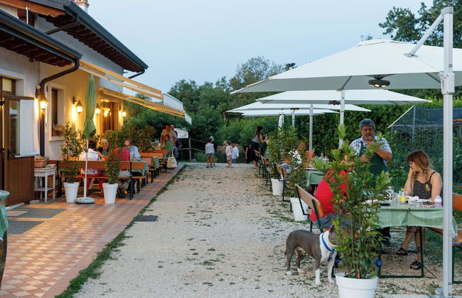 Agriturismo Agricamping GARDA NATURA - Foto 22