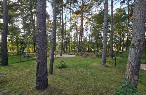 Daglezji 170 - Foto 37