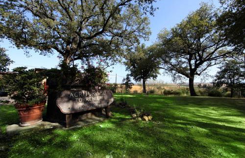 Agriturismo Torrenieri da Alessandro - Foto 16