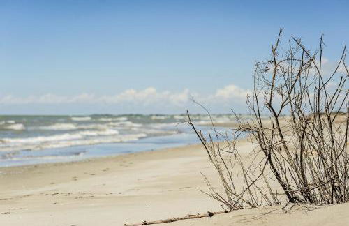 Il Piccolo Albero - Foto 33