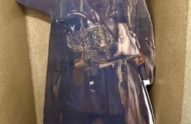 Sleep with a LION! 3 bedroom, near Downtown, Tremont, Ohio city!! - Foto 19