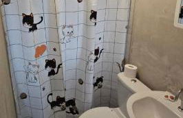 Kitnet Completa em Cotia Animalia Park CT of SP - Foto 21