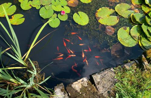 The Cottage at Well House - Foto 18