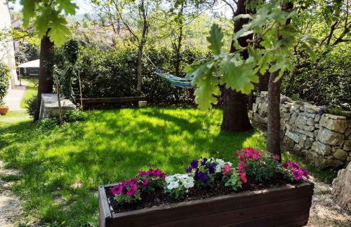 Il Canto degli Uccelli - Foto 33