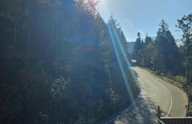 Ferienhaus Auszeit - Foto 9