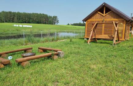 Agrosturystyka Leśna 21 - Foto 12